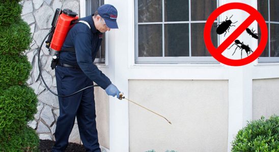 Çeşmealtı Böcek İlaçlama böcek ilaçlama ve haşere kontrolü — ilaclama-tr.com